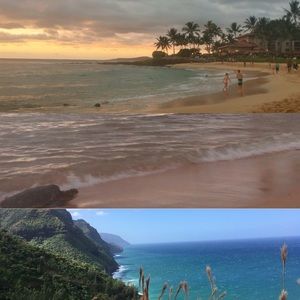 Meet your Posher, Peyton